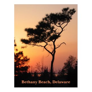Sunset Bethany Postcard
