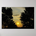 Sunset Between the Trees Posters