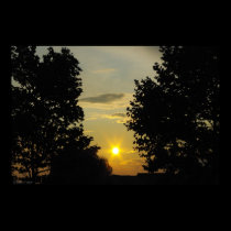 Sunset Between the Trees posters