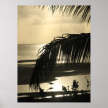 Sunset Black and Tan Palm and Cranes Poster