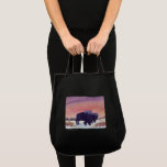Sunset Buffalo Canvas Bags
