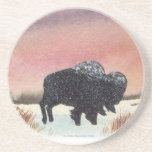 Sunset Buffalo Coasters