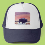 Sunset Buffalo Mesh Hats