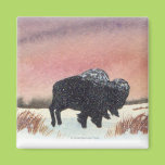 Sunset Buffalo Magnets
