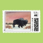 Sunset Buffalo Postage Stamps