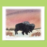 Sunset Buffalo print