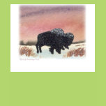 Sunset Buffalo T-shirts