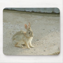 Sunset Bunny mousepads