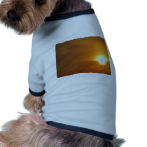 Sunset Burst pet clothing