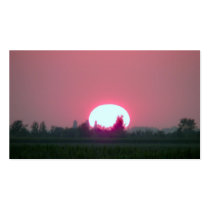 sunset business cards