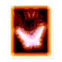 Sunset Butterfly posters by Ikin Sunset Butterfly posters