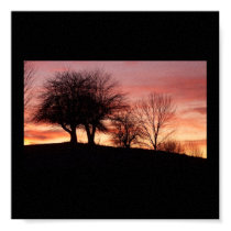 Sunset Canvas Print