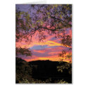 Sunset cards by zazzelme2 Sunset cards