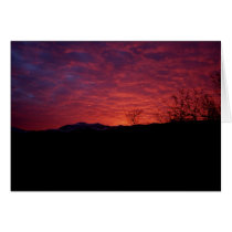 SUNSET cards