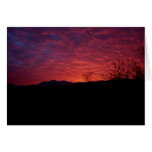 SUNSET cards