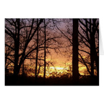 Sunset cards
