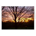 Sunset cards by bhughes1uga Sunset cards