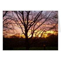 Sunset cards