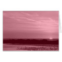 Sunset cards