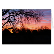 Sunset Card
