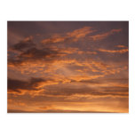 Sunset Clouds Postcard