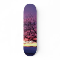 Sunset Country Skateboard