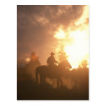 Sunset Cowboy Postcard