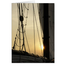 Sunset Cruise Cards