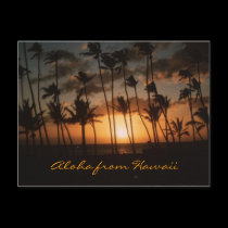 Sunset (Customizable) postcards