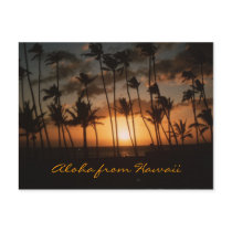 Sunset (Customizable) Post Card