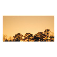 SunSet Customized Photo Card