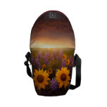 Sunset Daisies
