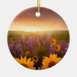 Sunset Daisies Ornaments