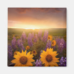 Sunset Daisies Refrigerator Magnets