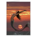 sunset dance cards by trgoldsworthy sunset dance cards