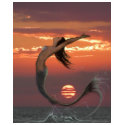 Sunset Dance Mermaid Art t-shirts by trgoldsworthy Sunset Dance Mermaid Art t-shirts
