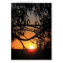 Sunset Darkness Card