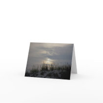 Sunset Dune Grass IBSP Note Card