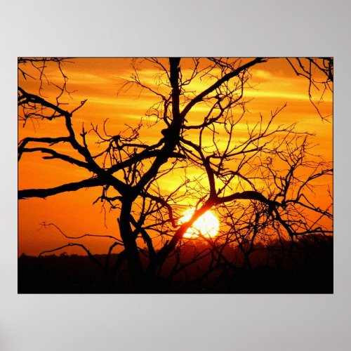 Sunset Entwined Poster print