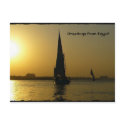 Sunset Felucca Postcard postcard