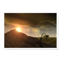 Sunset Fields posters