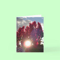 Sunset Flame Flowers - vertical (v2) cards