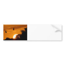 Sunset Flight Bumper Sticker