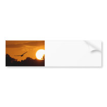 Sunset Flight Bumper Stickers