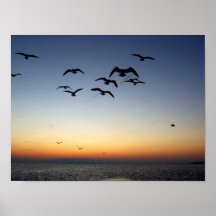 Sunset Flight Print