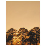 SunSet Full Color Flyer