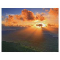 Sunset Flyer Design