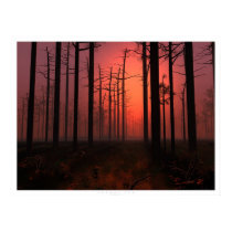 Sunset Fog posters