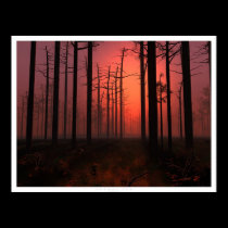 Sunset Fog posters