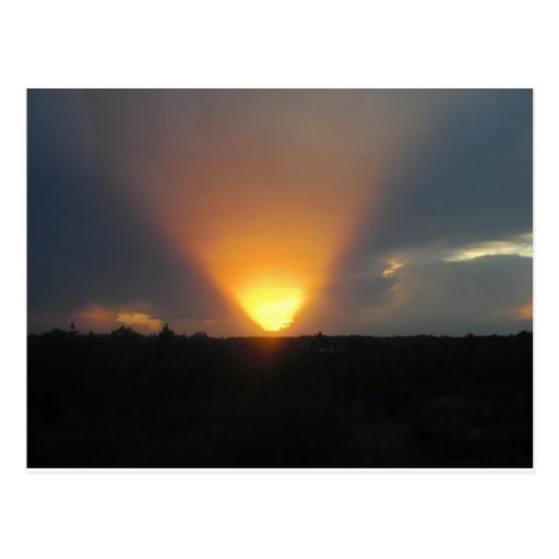 Sunset from the Monorail. Postcard